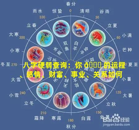 八字硬弱查询：你 🐕 的运程、感情、财富、事业、关系如何